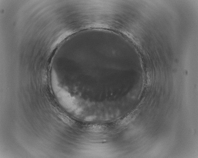 X0000088591266200706081319