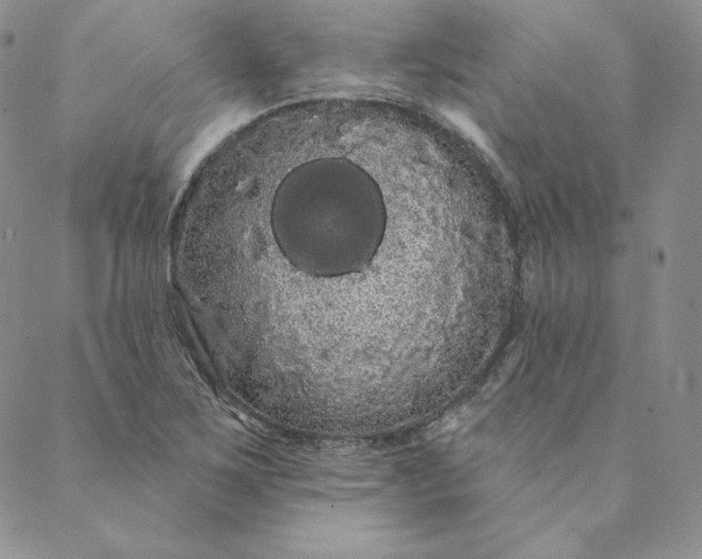 X0000088591267200706081319