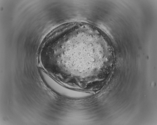 X0000088591268200706081319