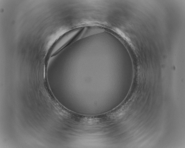 X0000088591269200706081319