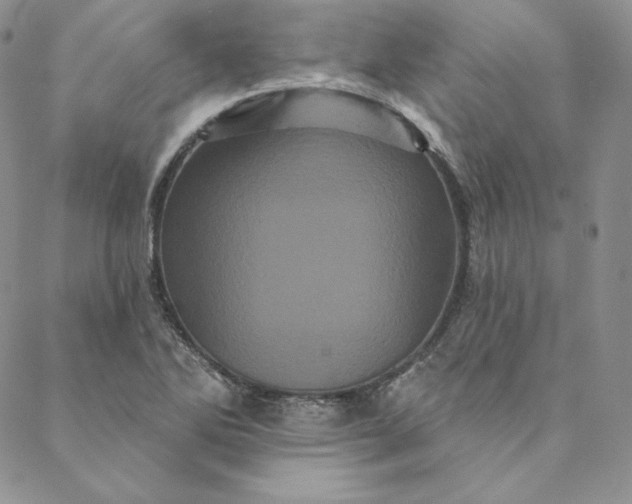 X0000088591270200706081319