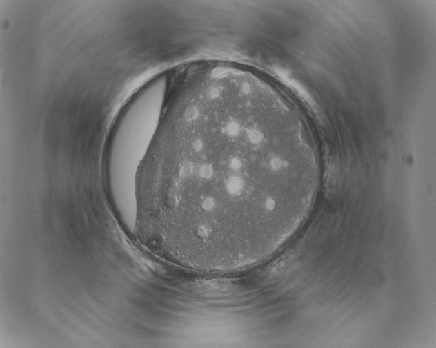 X0000088591272200706081319