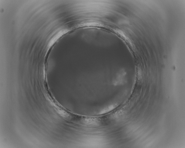 X0000088591274200706081319