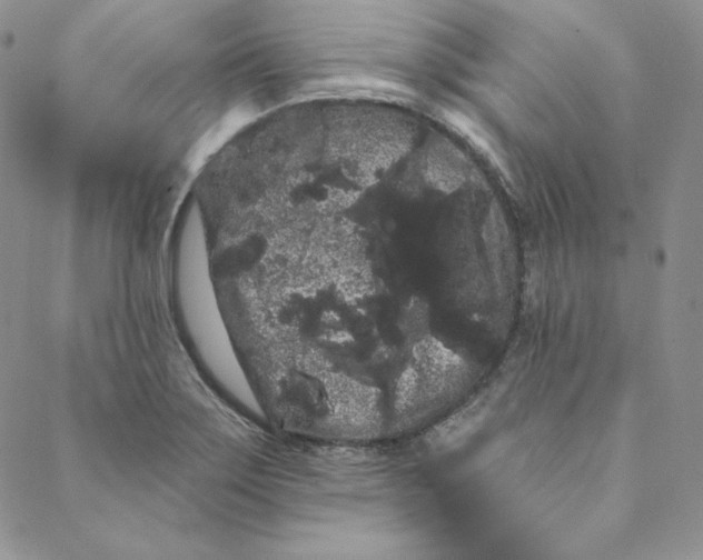 X0000088591275200706081319