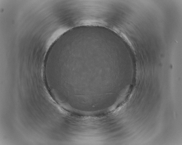 X0000088591277200706081319