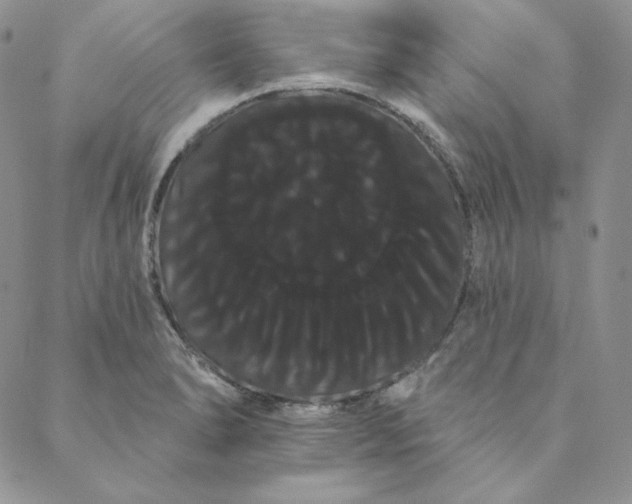 X0000088591278200706081319