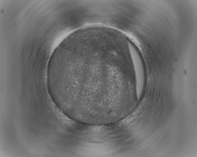 X0000088591279200706081319