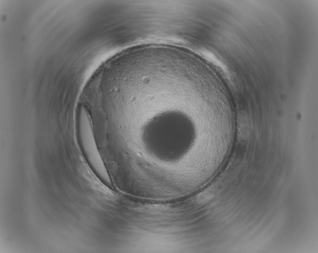 X0000088591280200706081319