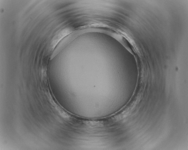 X0000088591281200706081319