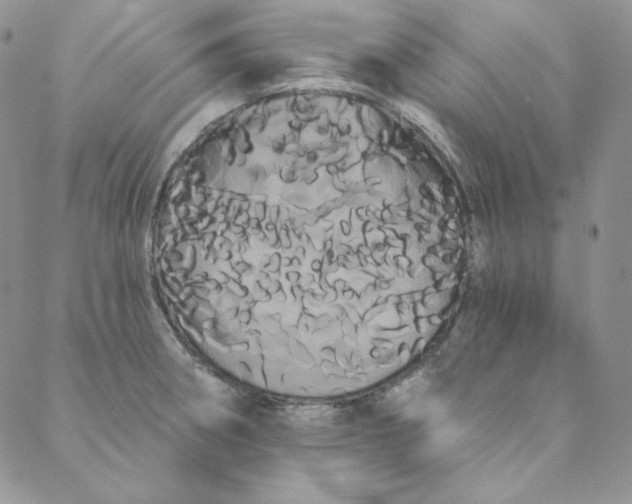 X0000088591282200706081319