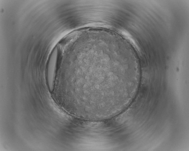 X0000088591284200706081319