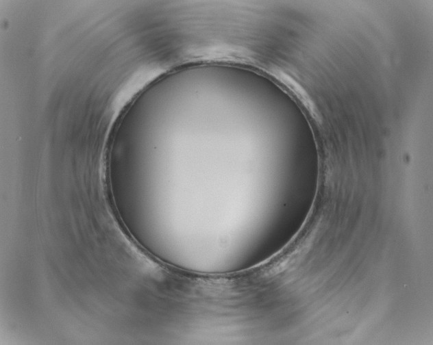 X0000088591285200706081319