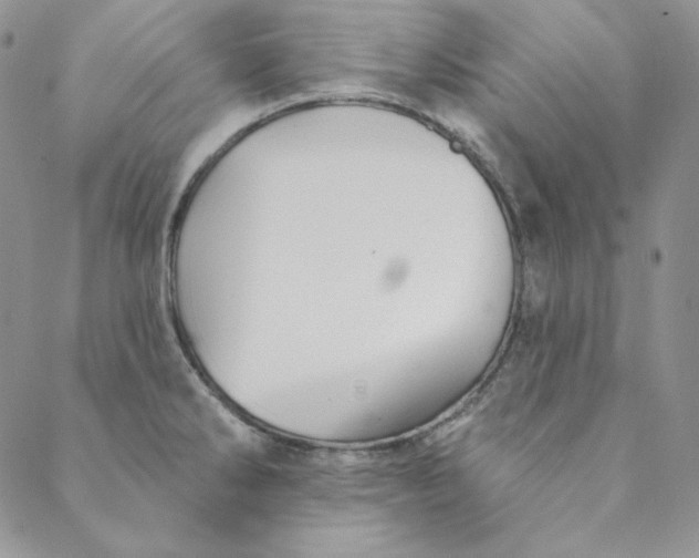 X0000088591286200706081318