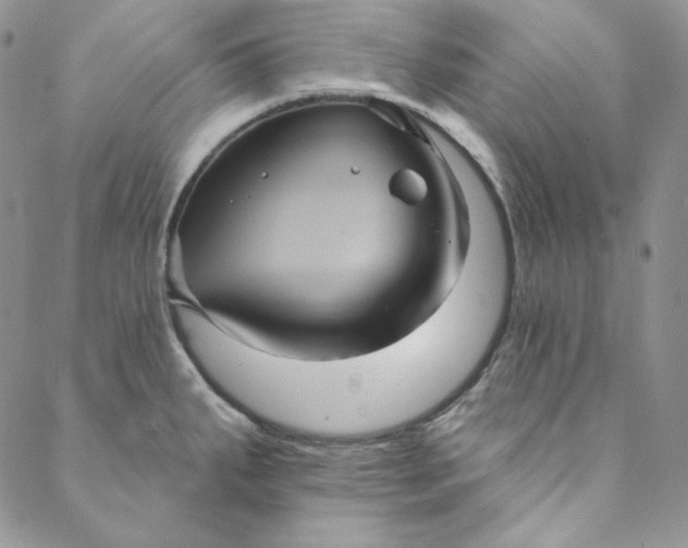 X0000088591287200706081318