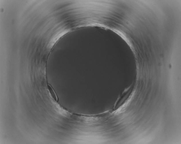 X0000088591289200706081318