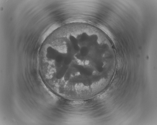 X0000088591290200706081318