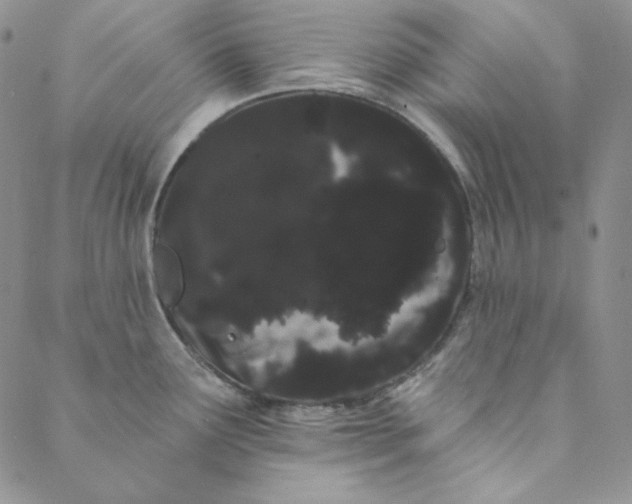 X0000088591291200706081318