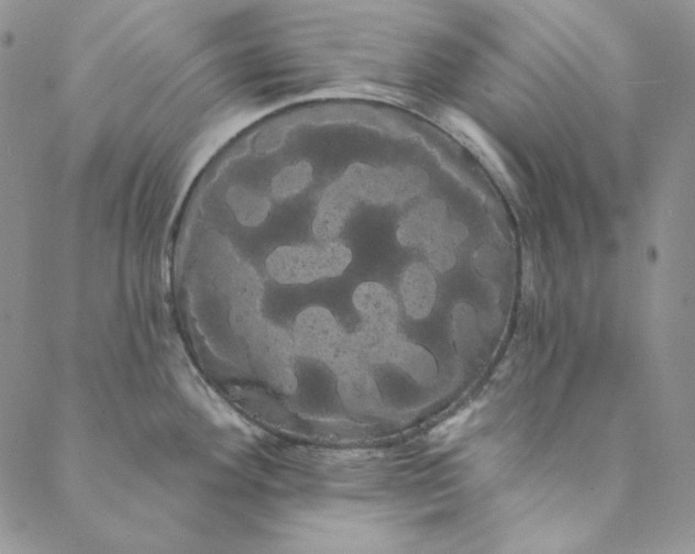 X0000088591292200706081318