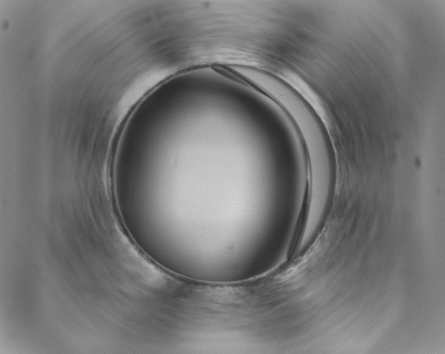 X0000088591293200706081318