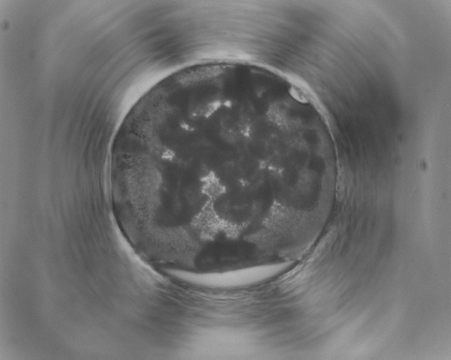 X0000088591295200706081318