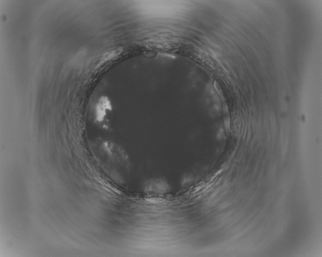 X0000088591297200706081318