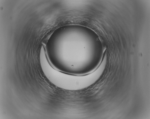 X0000088591298200706081318