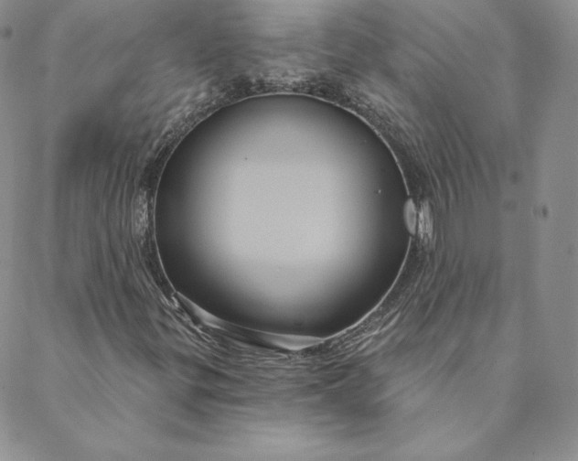 X0000088591299200706081318