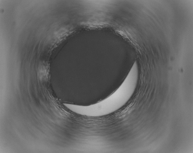 X0000088591300200706081318