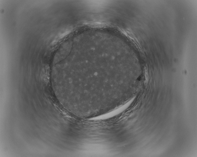 X0000088591301200706081318