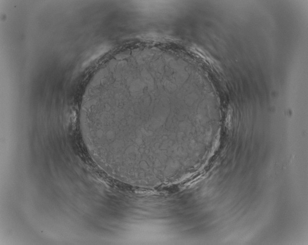 X0000088591302200706081318