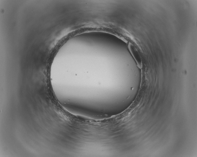 X0000088591304200706081318