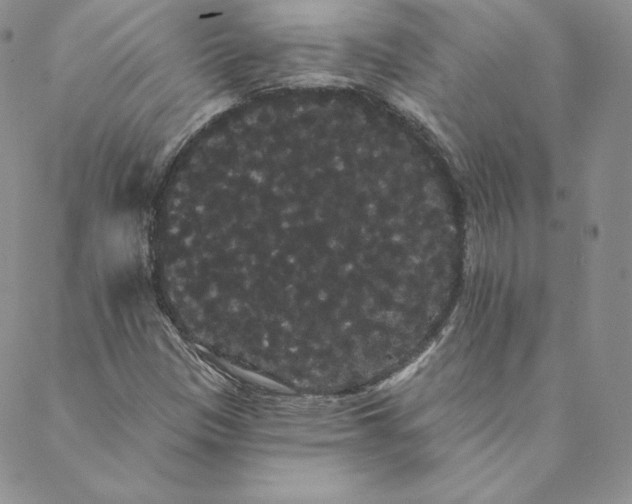 X0000088591305200706081318