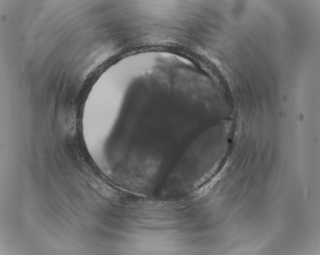 X0000088591306200706081318