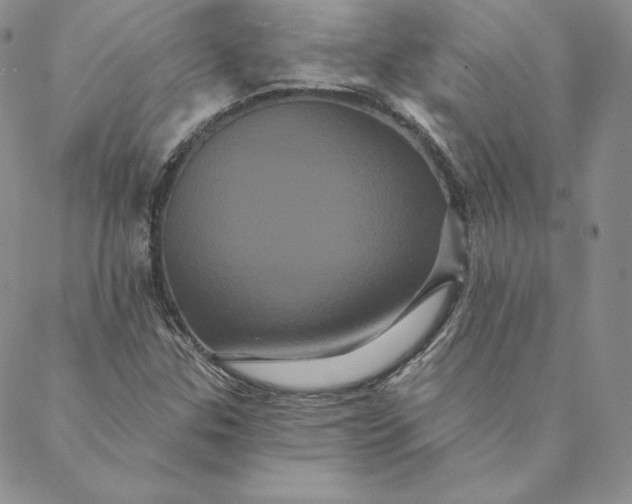 X0000088591307200706081318