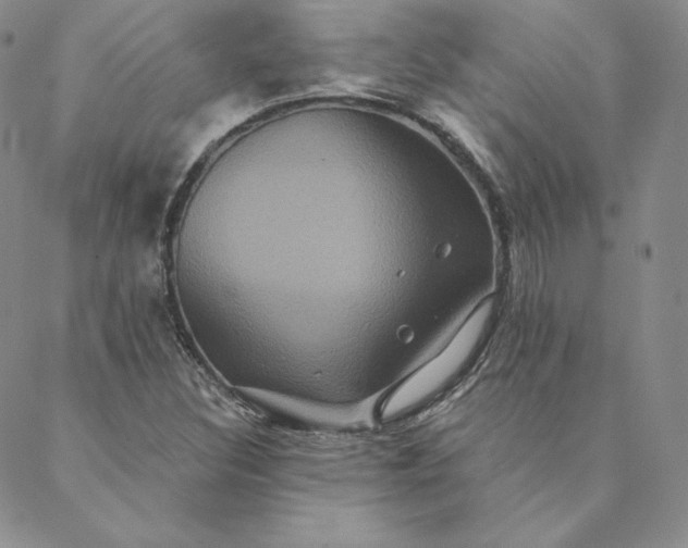 X0000088591308200706081318