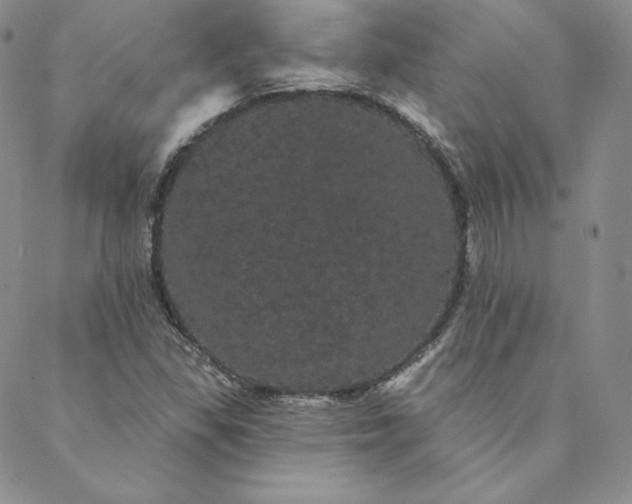 X0000088591309200706081318