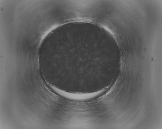 X0000088591310200706081318