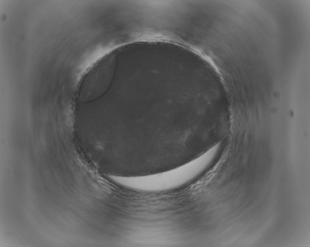 X0000088591311200706081318