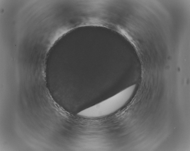 X0000088591312200706081318