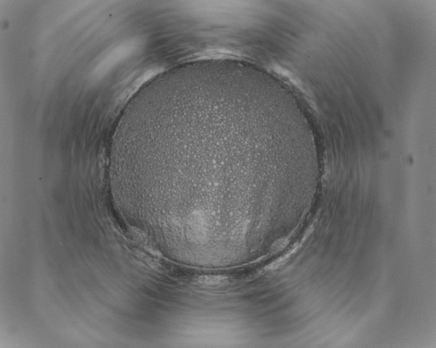 X0000088591313200706081318