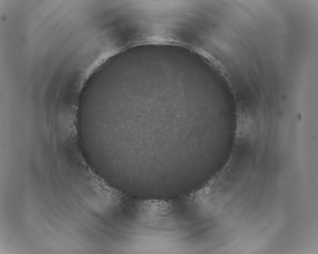 X0000088591314200706081318