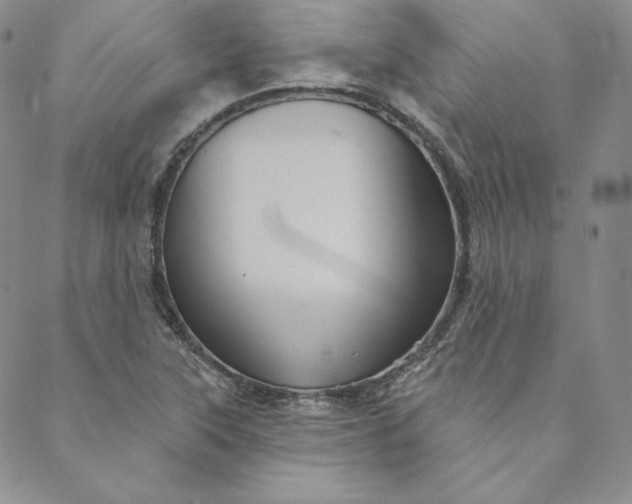 X0000088591315200706081318