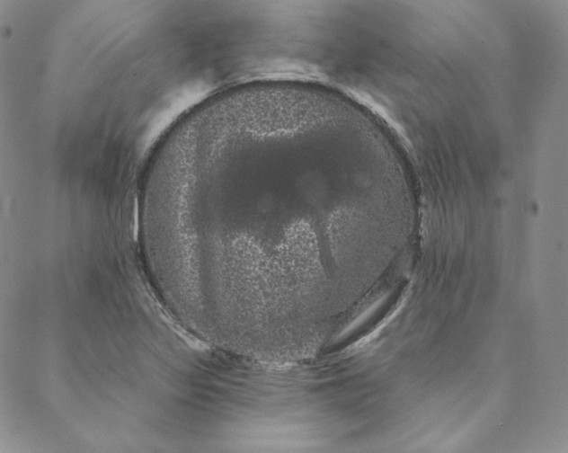 X0000088591317200706081318