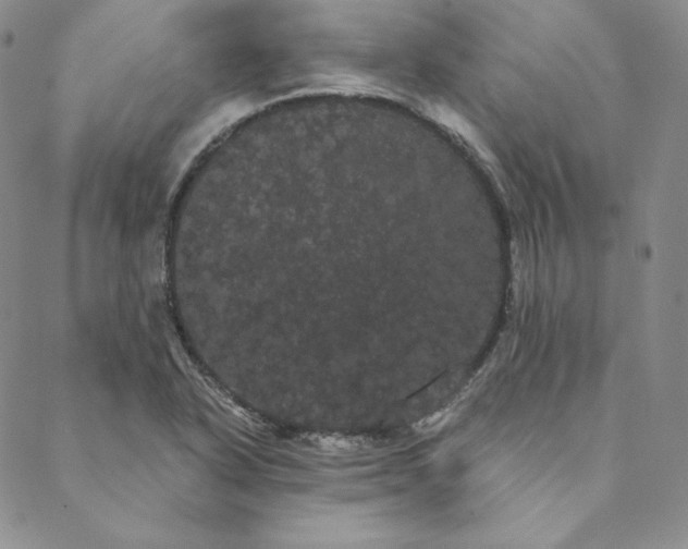 X0000088591318200706081318