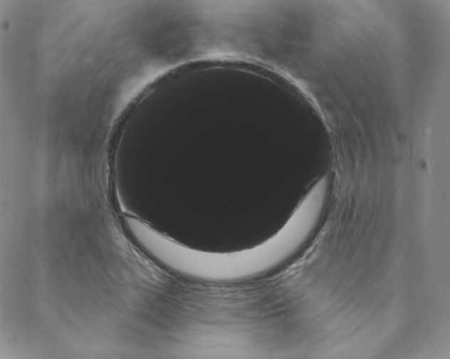 X0000088591319200706081318