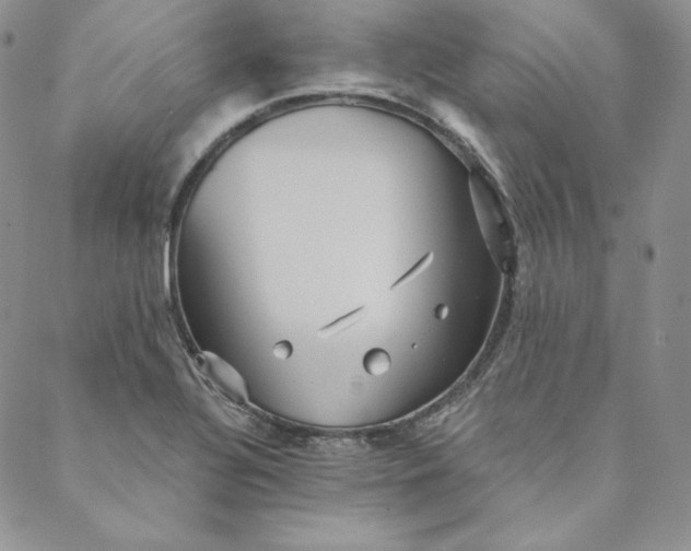 X0000088591320200706081318