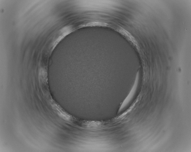 X0000088591321200706081318