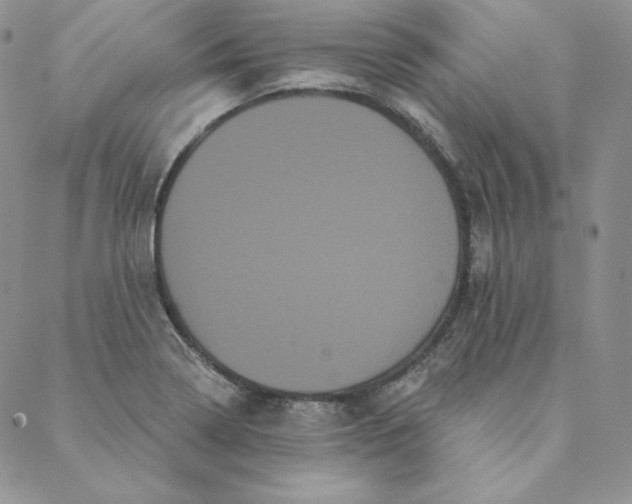 X0000088591322200706081318