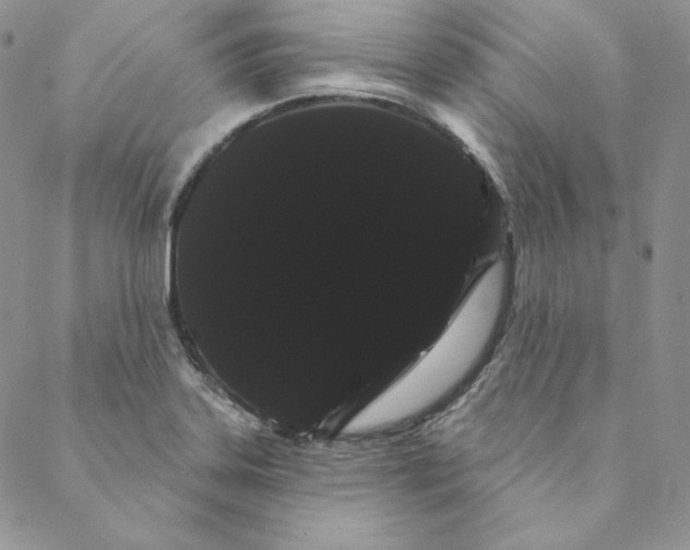 X0000088591323200706081318