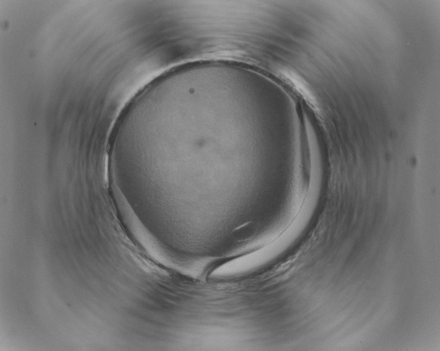 X0000088591324200706081318